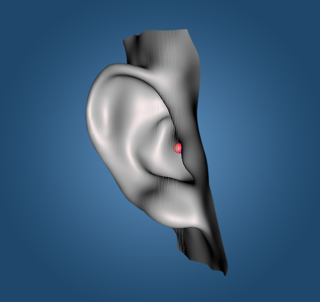 Hearables 3D Smartphone Scanning Step 3